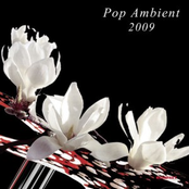 Pop Ambient 2009