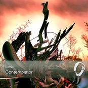Contemplator