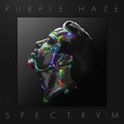 Purple Haze: SPECTRVM