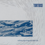 Along The Banks Of Rivers by Tortoise