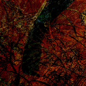Ghost / Embers
