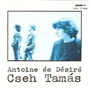 Demonstráció by Cseh Tamás