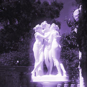 Silent Windows Along The Path