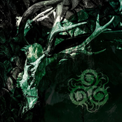 Steirermen san very good