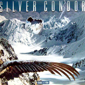 Silver Condor