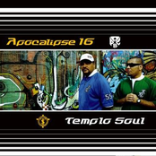 Apocalipse 16 & Templo Soul