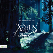 Navarette, N.: Polaris / Jenkins, K.: Palladio / Yazigi, M.: Roads / Anneken, U.: The Woods / Courduvelis, J.: Like It Is