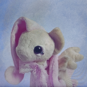 and I want you to notice my pattern