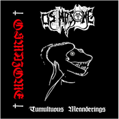 Tumultuous Meanderings