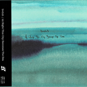 At Night This City Becomes The Sea