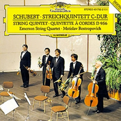 emerson string quartet & mstislav rostropovich