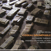 L'Oiseau innumérable