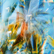 Summer's Here - Single