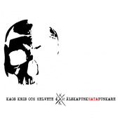 Älska punk - Hata punkare
