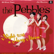 Night With A Hazy Moon