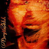 being an organ donor doesn't mean shit if you die in a house fire