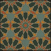 What I'm Looking For