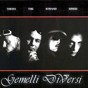 Signorita by Gemelli Diversi