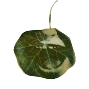 opteracore the movie