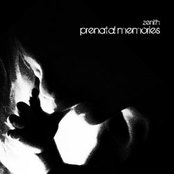 prenatal memories