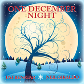 Neil Giraldo: One December Night