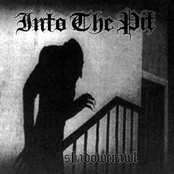 into the pit