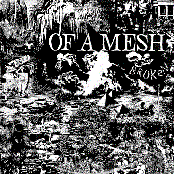 Damage by Of A Mesh