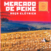Roça Elétrica
