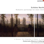 Choral Concert: Camerata Musica Limburg - Vaughan Williams, R. / Schubert, F. / Silcher, F. / Gluck, F. / Nigel, W. / Pracht, R. / Schumann, R.