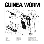 Guinea Worm