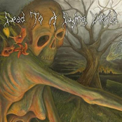 Stagnation by Dead To A Dying World