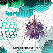Mycelium Music Compilation Vol. 1