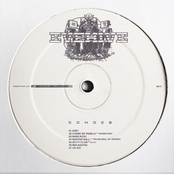 ECHOES