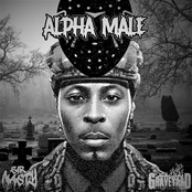 Alpha Male (Preview)