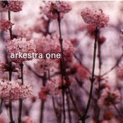 The Sirens by Arkestra One