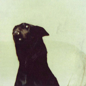 Ilya Wazuhiru's Album