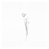 Consolation No. 1 in E-flat Major