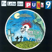Es Lebe Der Punk Vol. 9