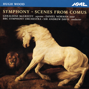 Hugh Wood: Symphony
