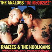 the analogs/ramzes&the hooligans