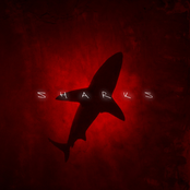Sharks