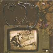 Pressed Flowers/Squashed Blossoms