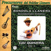 Bandola Llanera: Instrumentales Violentos Vol. 2