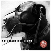 Naturalna Moc Słowa