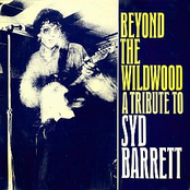 Beyond The Wildwood
