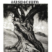 A Basilica of Black Stars