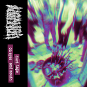 Duct Tape on Eyes and Mouth