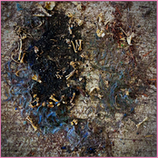 Make Your Brain A Better Place To Live