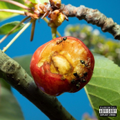 DISCORDIA, ARMONIA E ALTRI STATI D'ANIMO