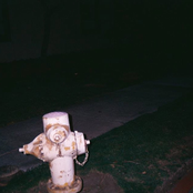 in the doghouse (2014 version)